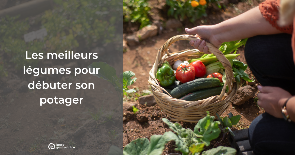 Les Meilleurs Légumes Pour Débuter Son Potager - Laure-ganisatrice ...