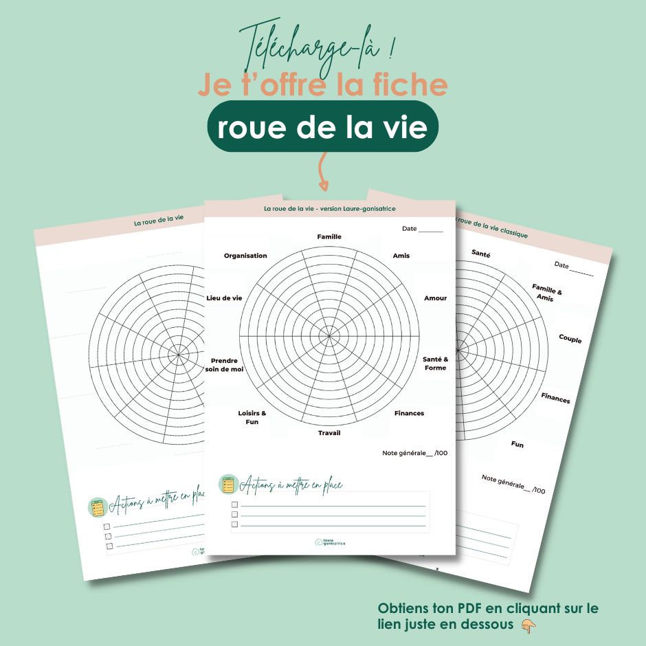 Télécharge ton PDF pour faire le point sur ton quotidien avec l'exercice de la roue de la vie